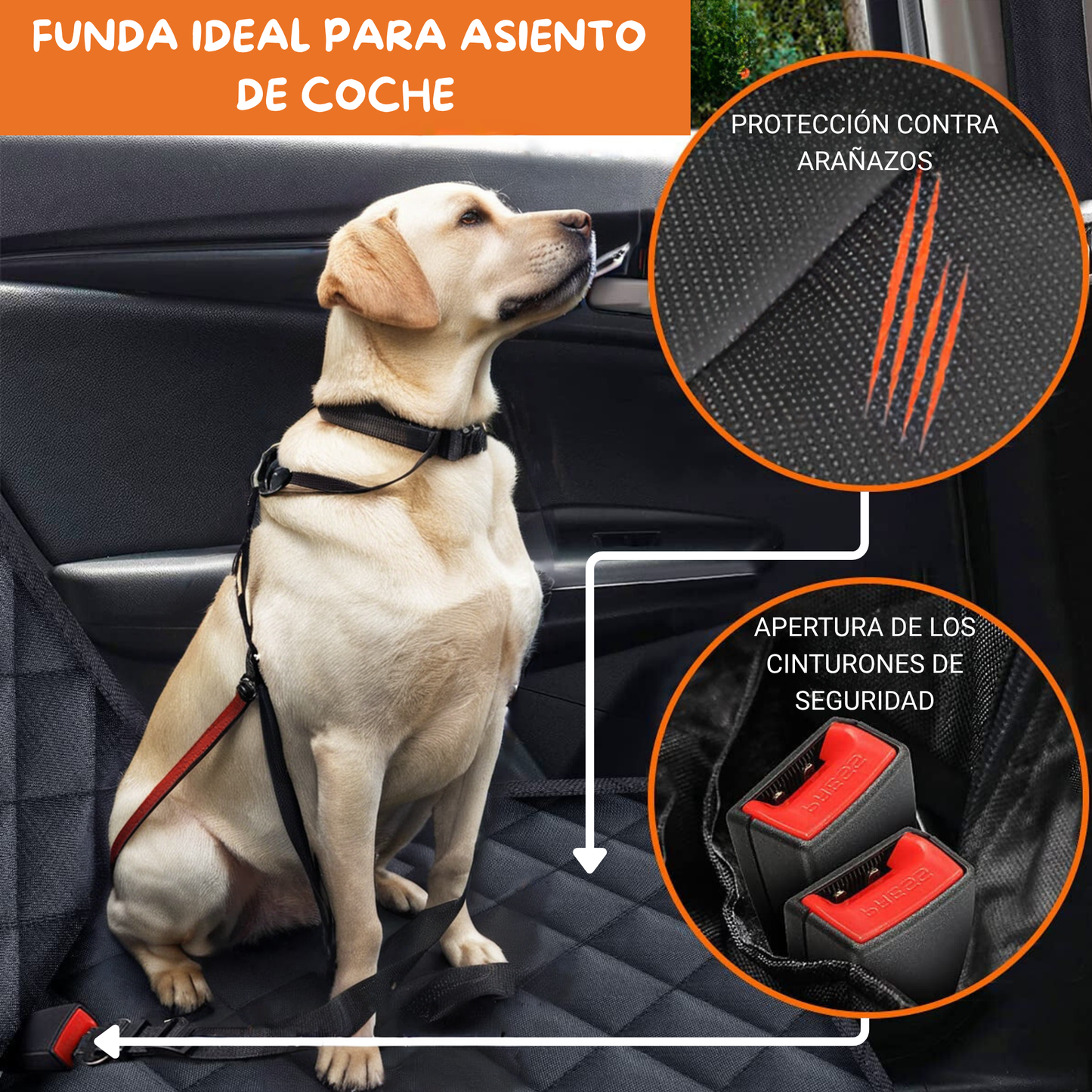 MobiPet Protect